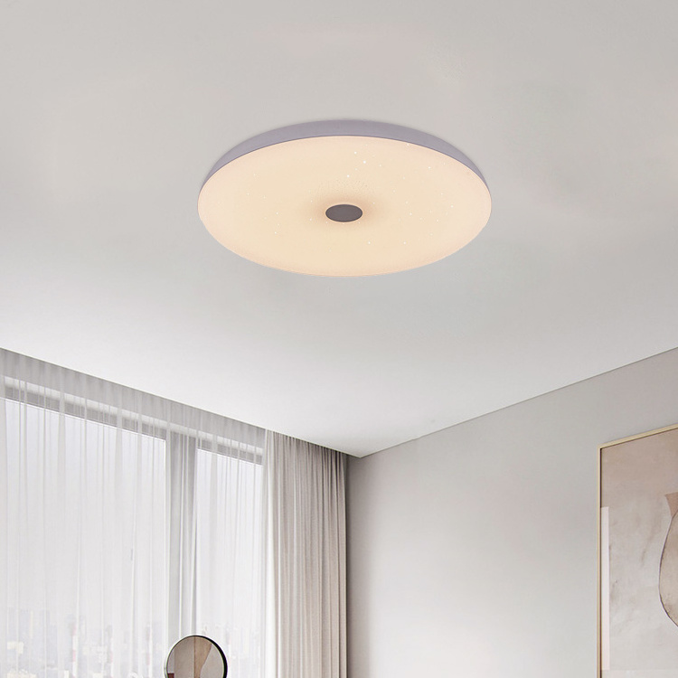 Simple Round Shape Design Bedroom Dimmable RGB Lighting 24W 36w 48w Led Ceiling Smart Music Light