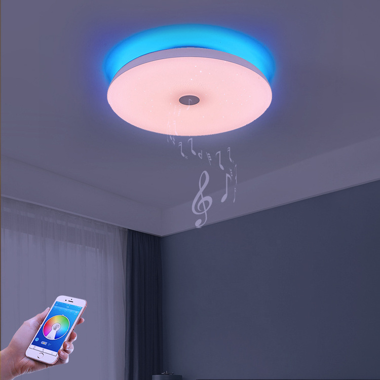 Simple Round Shape Design Bedroom Dimmable RGB Lighting 24W 36w 48w Led Ceiling Smart Music Light