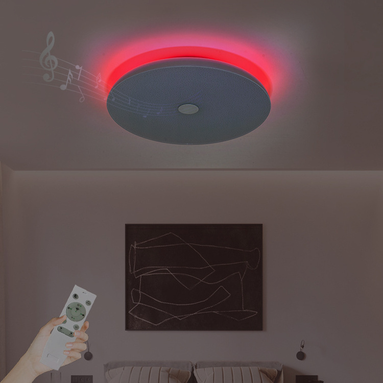 Simple Round Shape Design Bedroom Dimmable RGB Lighting 24W 36w 48w Led Ceiling Smart Music Light