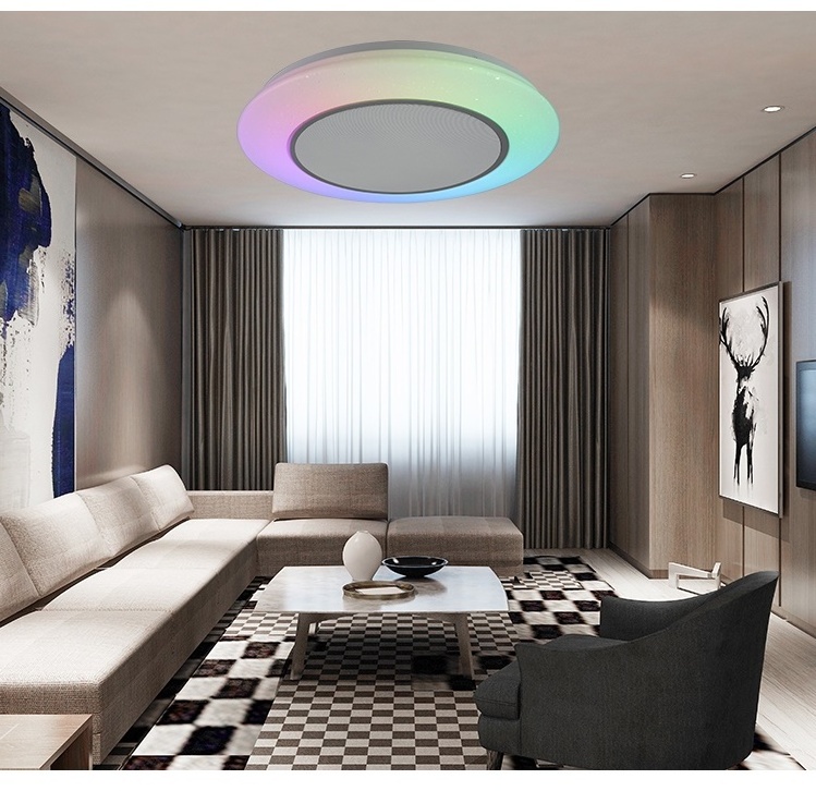 Modern Simple APP Remote Control Living Room Bedroom Dimmable RGB 36w Led Smart Ceiling Music Light