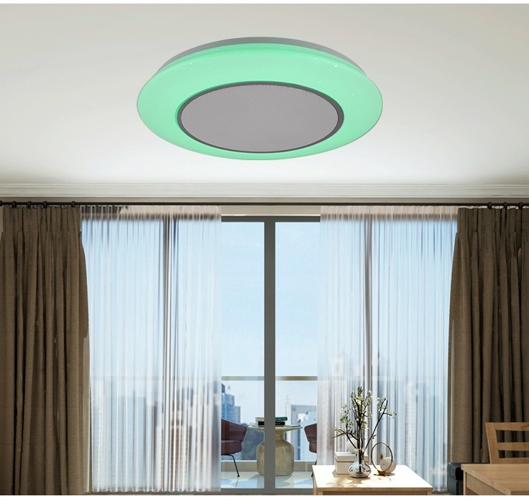 Modern Simple APP Remote Control Living Room Bedroom Dimmable RGB 36w Led Smart Ceiling Music Light