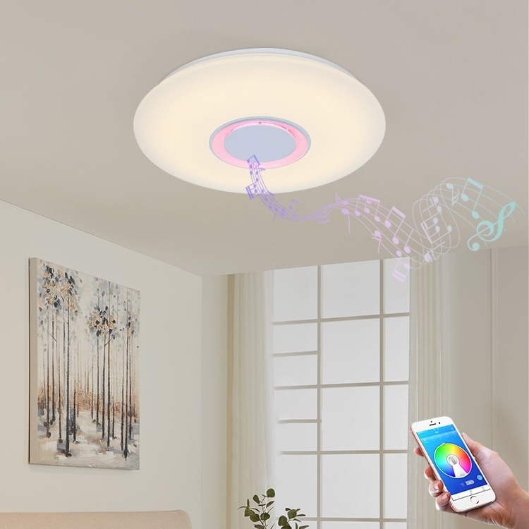 High Quality Indoor Decorative Living Room Dimming Smart Control 24w  Led Round Ceiling Music Light