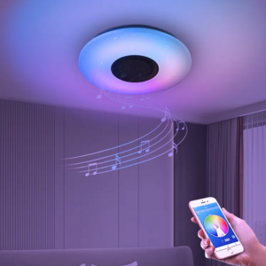 Hot Sale Modern Bluetooth Music Remote Control Color Changing Led Ceiling Lamp Smart Home Decorations Light Smart Ceiling Light