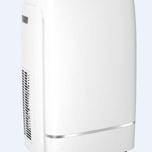 12000BTU Reliable Energy Efficient R290 Compressor Portable Indoor Air Cooler AC Air Conditioner