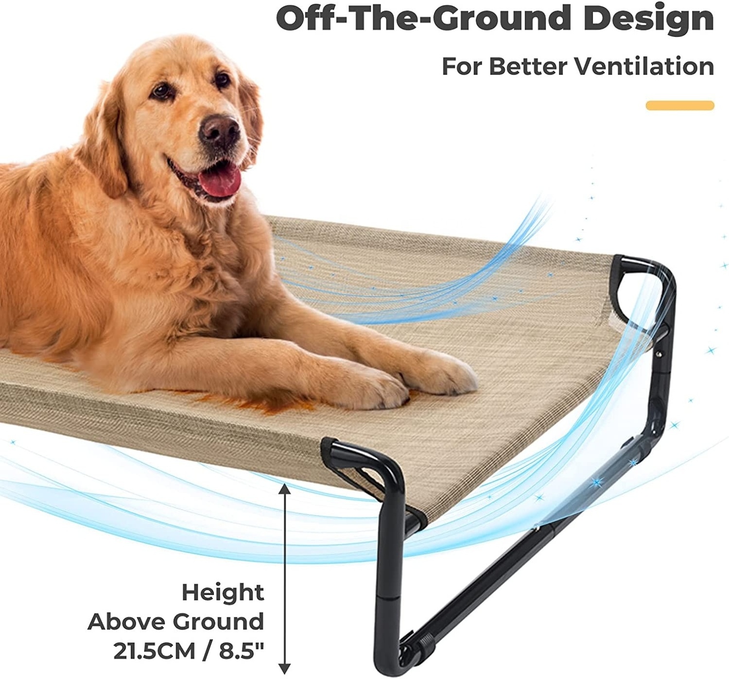 Elevated Folding Dog Bed Indoor Outdoor Pet Camping Raised Cot for Small Medium or Large Dogs