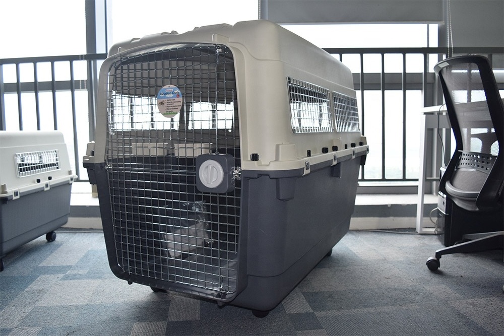 IATA Plastic Airline Shipping Approved Dog Transport Box Pet Cages Bag Carrier And Travel Crates Kennel