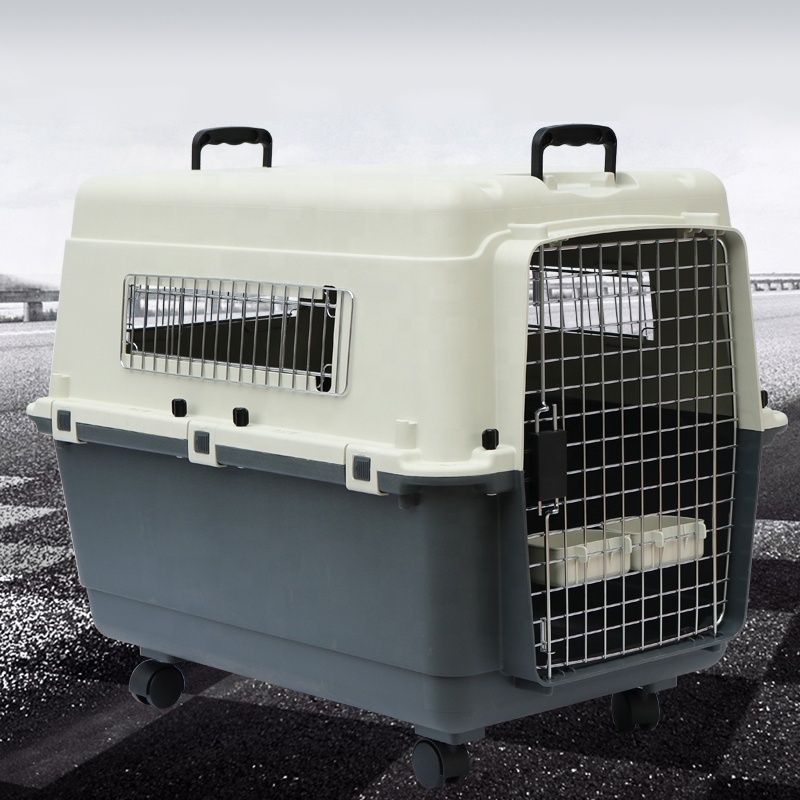 IATA pet carrier clear travel standard crate large dog and cat carry cages kennel air plastic carrier