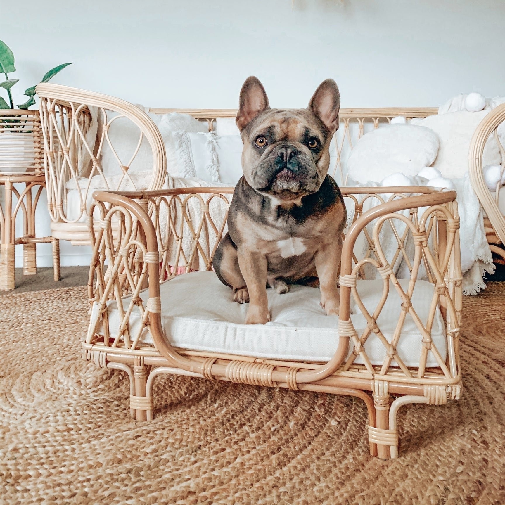 Wholesale natural handmade rattan pet bed top products best sellers rattan beds for pets dogs cats