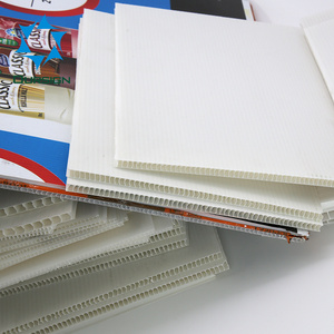 Polypropylene Plastic Sheet/ PP Hollow Board for UV-Printing