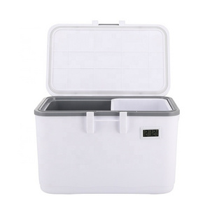 5L Portable Plastic Outdoor Camping Cooler Medical Vaccine Blood Transport Small Mini Ice Cooler Box