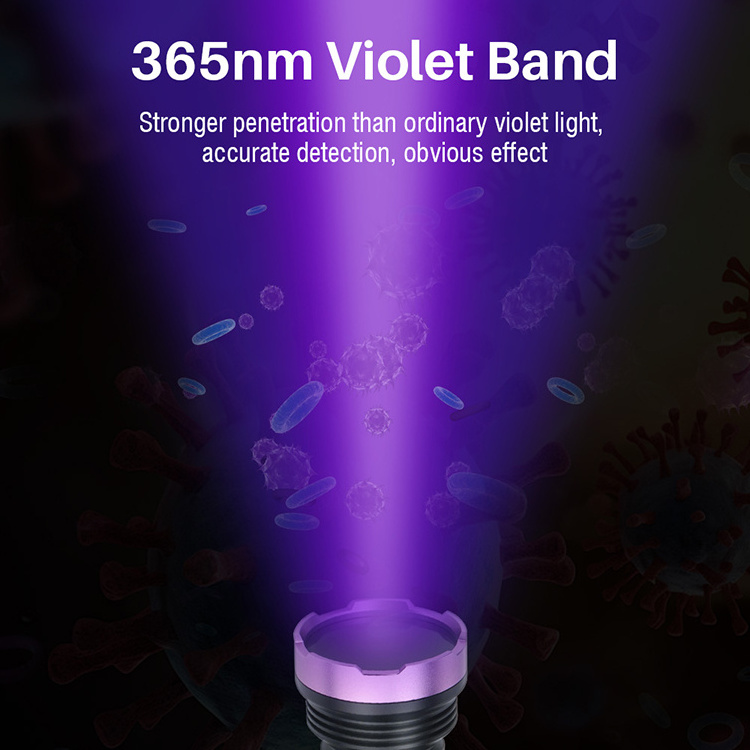 365nm Ultra Violet Torch Lanterna 18650 Battery Powered Portable Black Lights Detector for Dog Urine Pet Stain UV led Flashlight