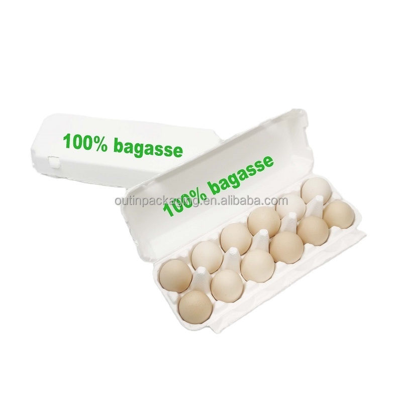 Custom Logo Biodegradable 100% Bagasse Egg Tray Carton Box Tray Packing Material Folders Carton with Cover Pulp Moulding 12 Eggs