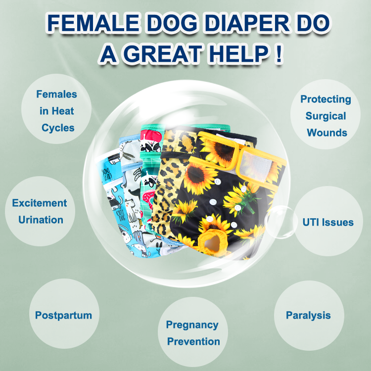 super absorbent panties for dogs in heat petsmart girl dog diapers Durable doggie diapers for female dogs in heat