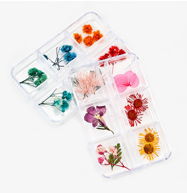 6 Mix Dried Flowers Nail Decorations Dry Flower Natural Floral Leaf Stickers 3D Nail Art Designs