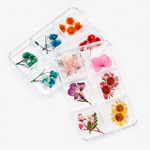 6 Mix Dried Flowers Nail Decorations Dry Flower Natural Floral Leaf Stickers 3D Nail Art Designs