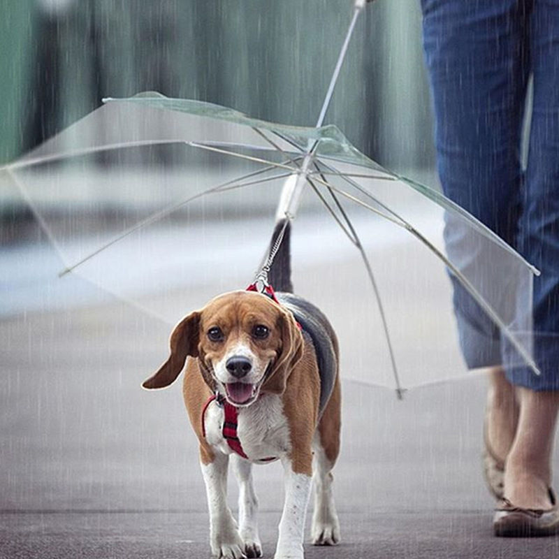 Pet umbrella dog artifact teddy bear dog pet rain gear cute pet supplies waterproof cat and dog umbrella sale