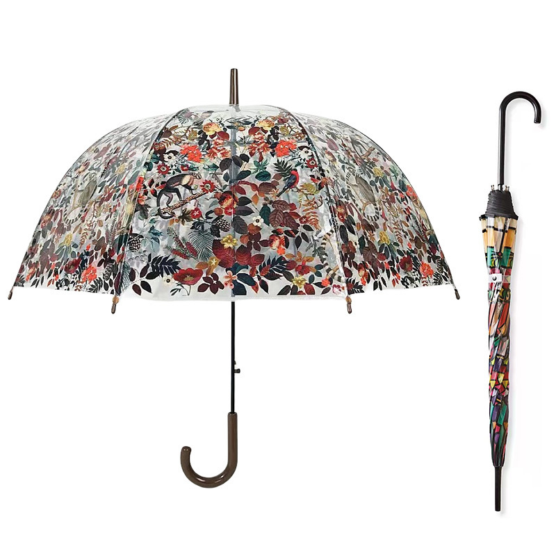 umbrella Factory Custom logo painted pvc clear dome rain Colorful glass long handle automatic straight transparent umbrella