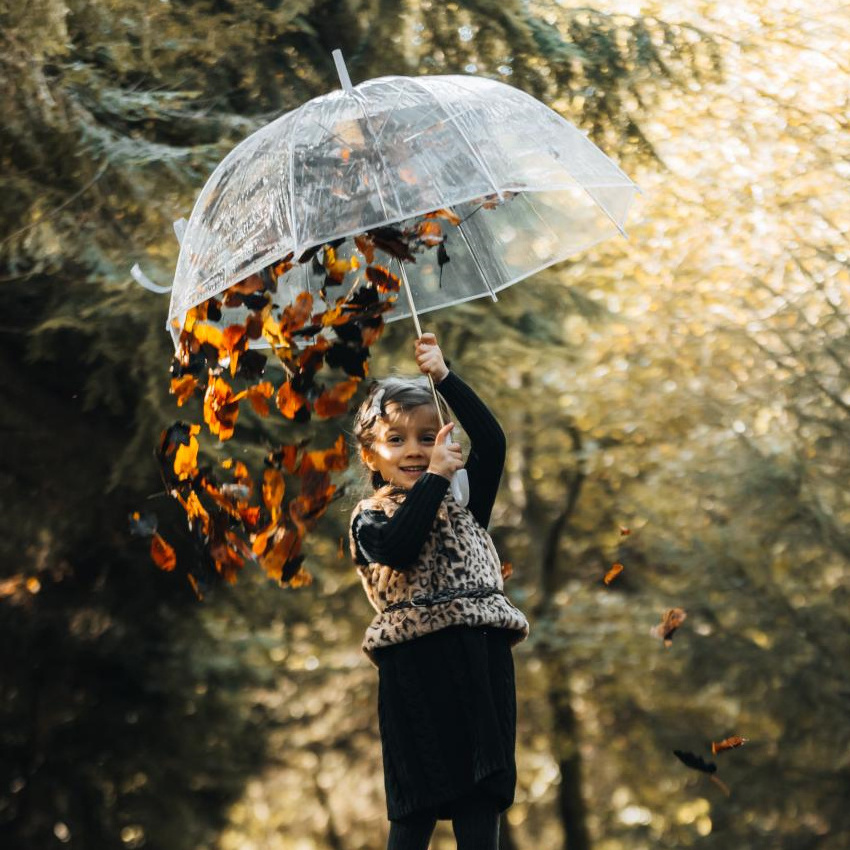 New Style Cheap Lightweight Sun Shade Long Handle Rain Clear Transparent birdcage  Umbrellas