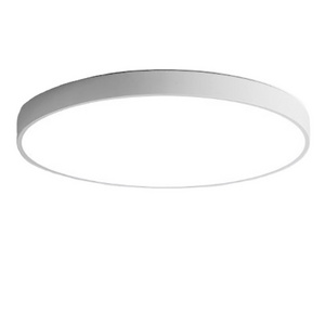 NEW Ultra-thin LED Ceiling Lamp Round Simple Nordic Ceiling Light for Aisle Corridor Bedroom