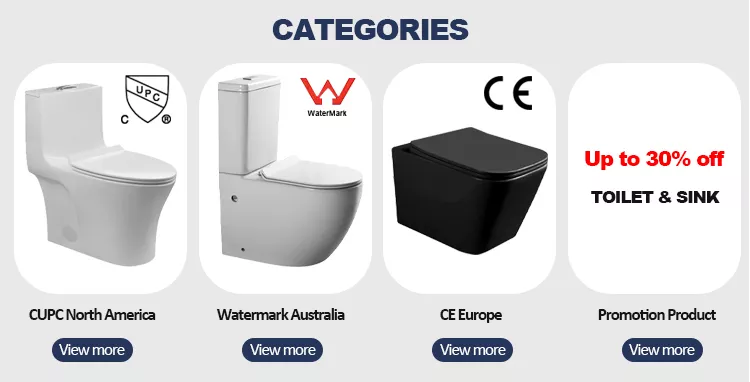 Wall hanging european rimless p trap modern color ceramic sanitary ware wc wall mounted drain matt black wall hung toilet