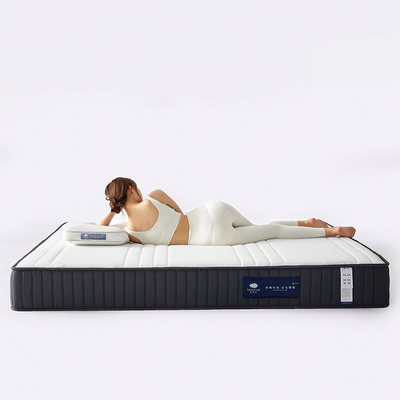 Comfort Fabric Thick And Breathable Insulated Foam Mattress Tatami Single And Double Hotel Bed Mattress Topper