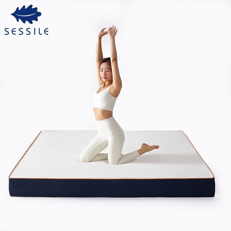 Natural Latex Mattress High Density Memory Foam Mattress Sleep Comfortable Bed Cushion