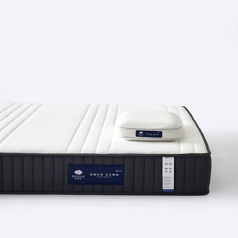 Comfort Fabric Thick And Breathable Insulated Foam Mattress Tatami Single And Double Hotel Bed Mattress Topper