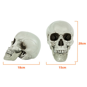 Light Weight Party Garden Decoration Plastic Adult Size Halloween Human Skull