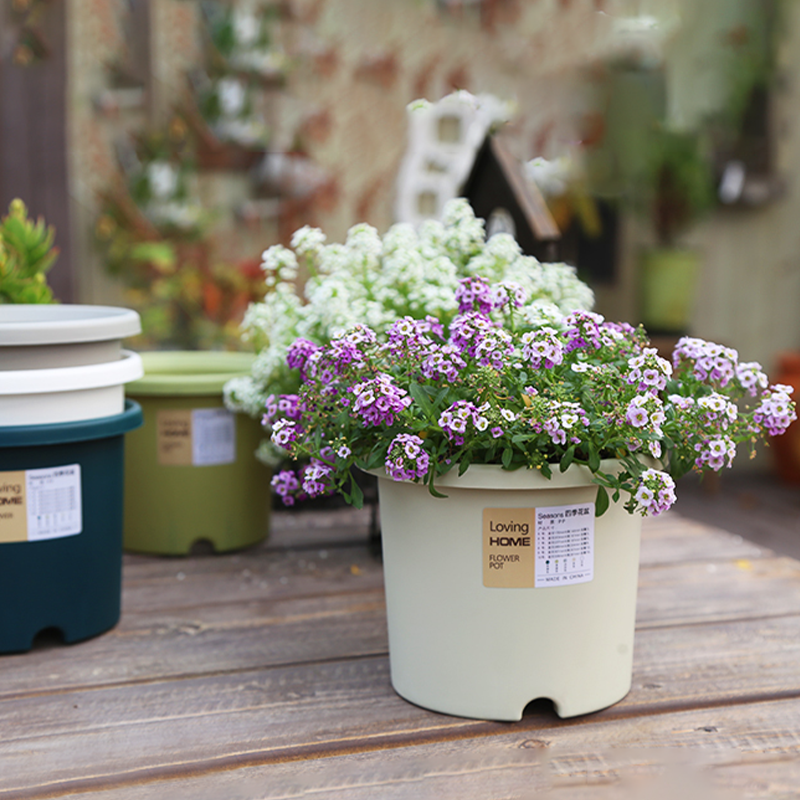 Low Price Promotion Durable 1 to 25 Gallon Plastic Planter Plant Flower Plastic Nursery Pots