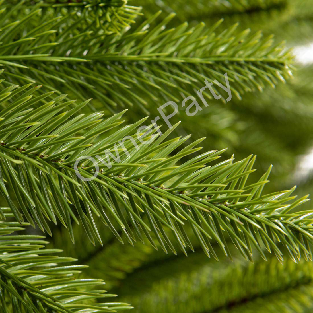 2023 factory new products arrive wholesale simulation Cedar PE flocking decorative Christmas tree christmas tree