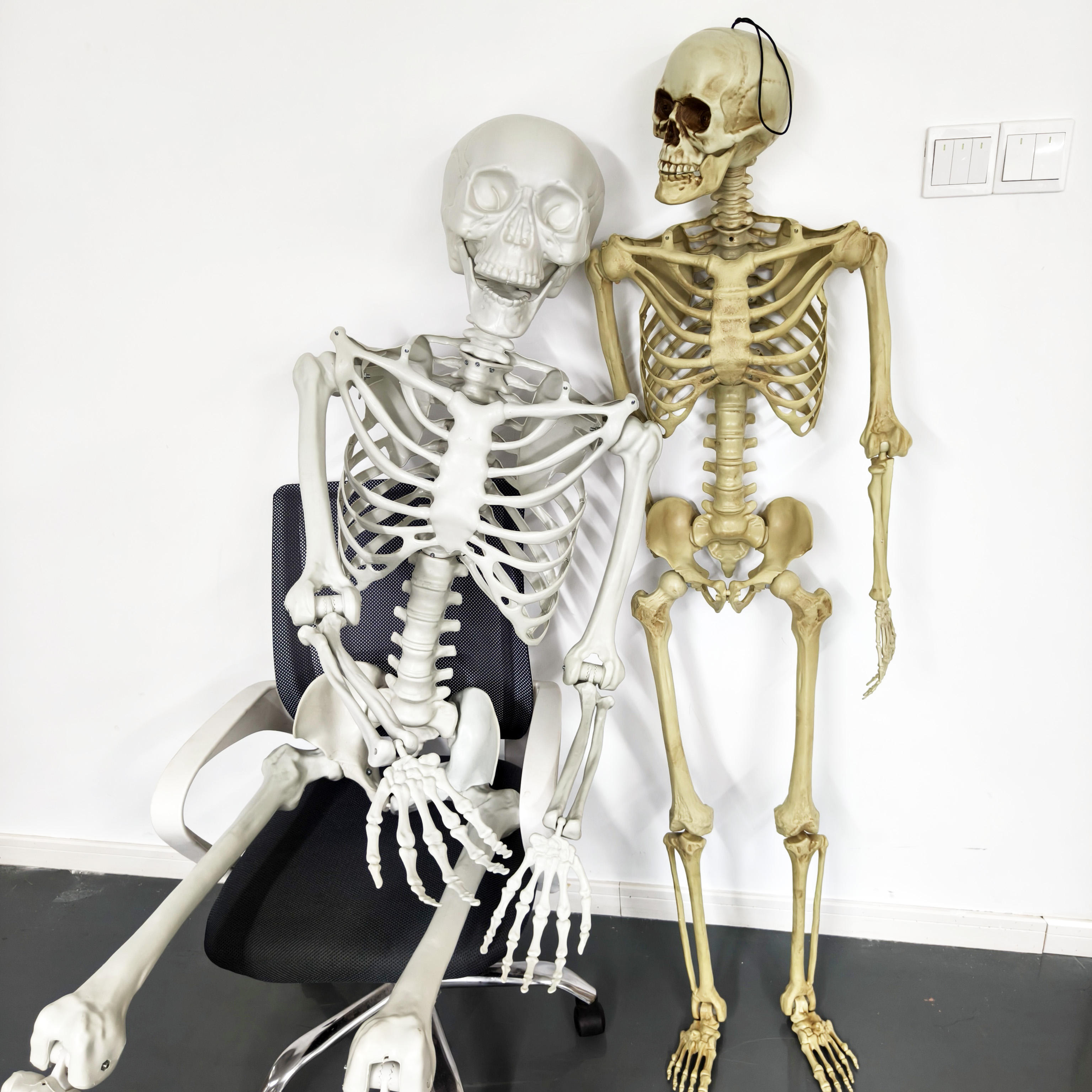 Halloween Decorations Animated Props Human Movable Joints 5.4Ft High Quality Life Size Large Halloween Skeleton