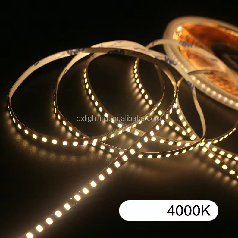 5MM 4MM 8MM 10MM 2835 LED Strip Light SMD 2835 LED Strip Light 120 240 leds 60D Flexible Tape Ribbon  12V 24v 5v  Streifen Licht