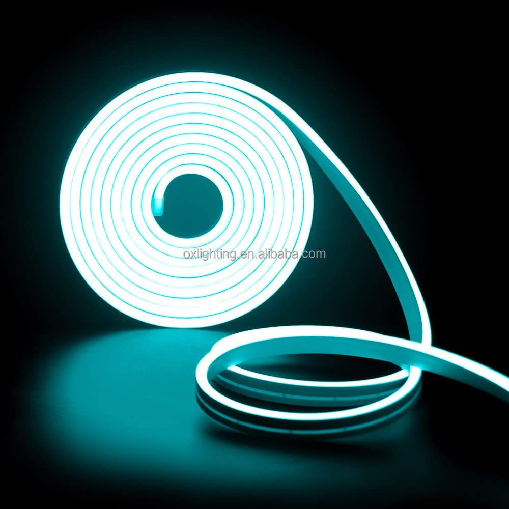 12V Pink Blue LED Neon Rope Light Lamp 220v Decor flex custom luces luz Neon Lights room