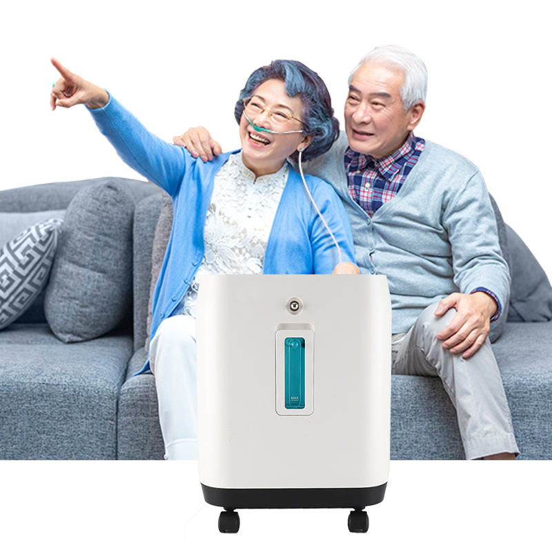 Amazon Ebay Lazada Available Selling Best Oxygen Concentrator 2-10L Aliexpress Wish All Home Oxygen Concentrator