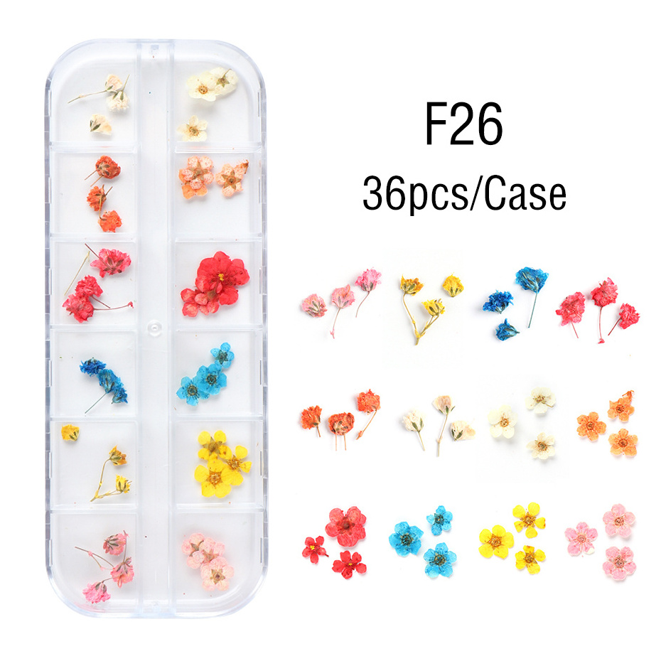 Mixed Patterns Dry Flower Sticker For Nail Art Decoration Daisy 3D Natural Dried Flowers Nail Art UV Gel DIY Decals