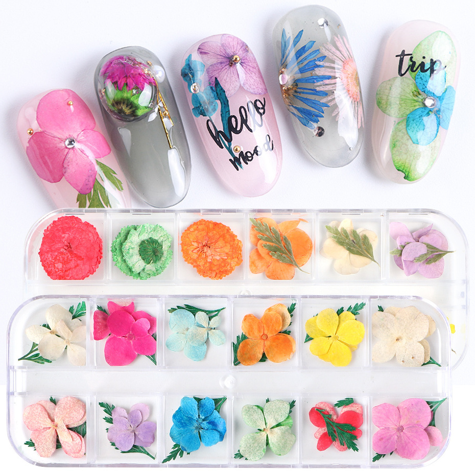 Mixed Patterns Dry Flower Sticker For Nail Art Decoration Daisy 3D Natural Dried Flowers Nail Art UV Gel DIY Decals