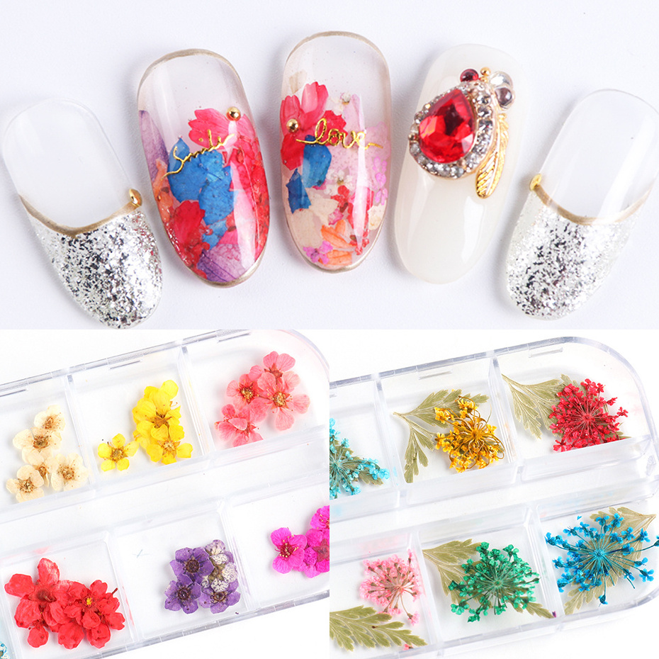 Mixed Patterns Dry Flower Sticker For Nail Art Decoration Daisy 3D Natural Dried Flowers Nail Art UV Gel DIY Decals