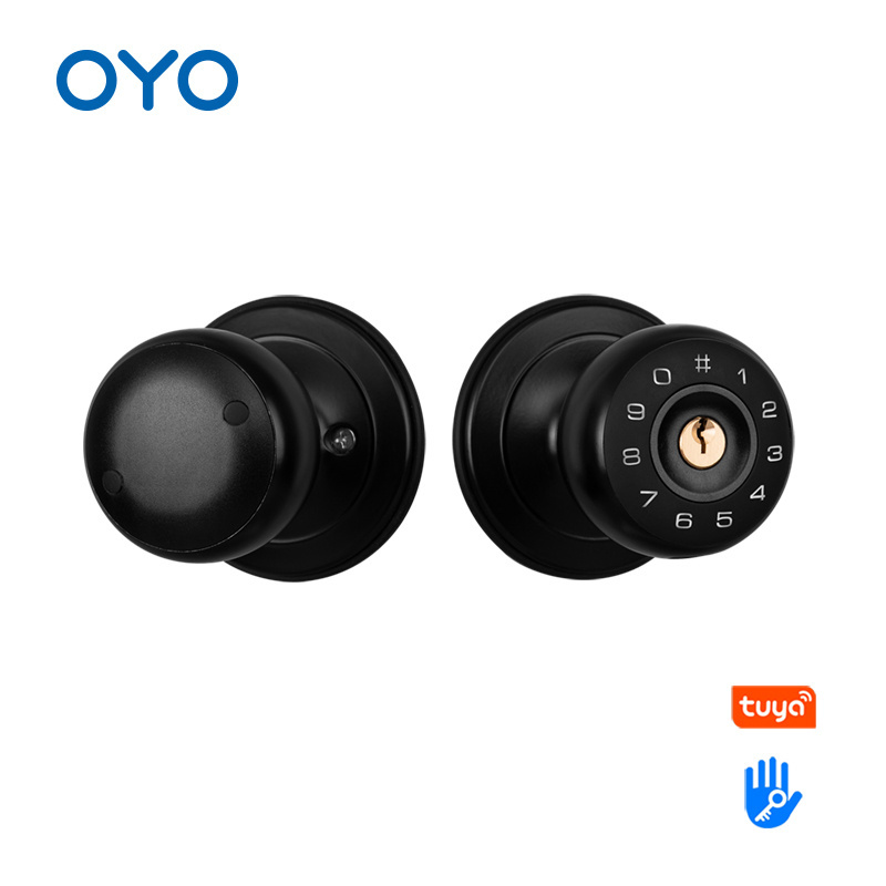 OYO Waterproof Outdoor High Security Electric Digital Spherical Smart Door Lock With Tuya APP TTLOCK Mobile Lock