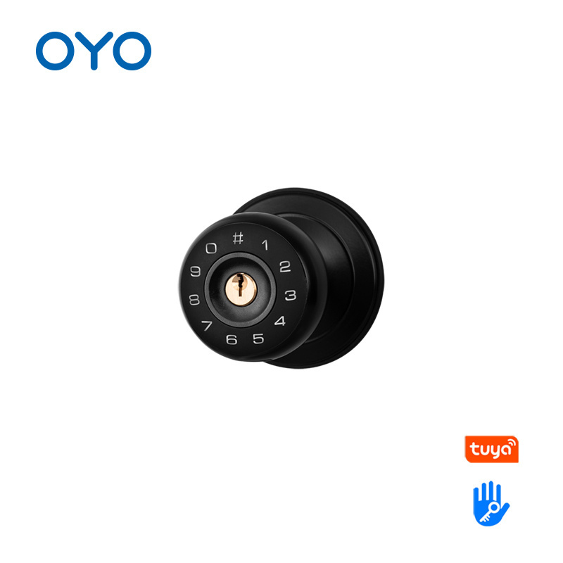 OYO Waterproof Outdoor High Security Electric Digital Spherical Smart Door Lock With Tuya APP TTLOCK Mobile Lock