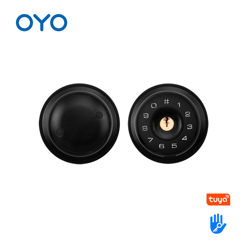 OYO Waterproof Outdoor High Security Electric Digital Spherical Smart Door Lock With Tuya APP TTLOCK Mobile Lock