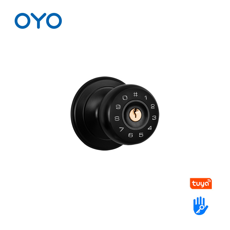 OYO Waterproof Outdoor High Security Electric Digital Spherical Smart Door Lock With Tuya APP TTLOCK Mobile Lock