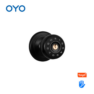 OYO Waterproof Outdoor High Security Electric Digital Spherical Smart Door Lock With Tuya APP TTLOCK Mobile Lock