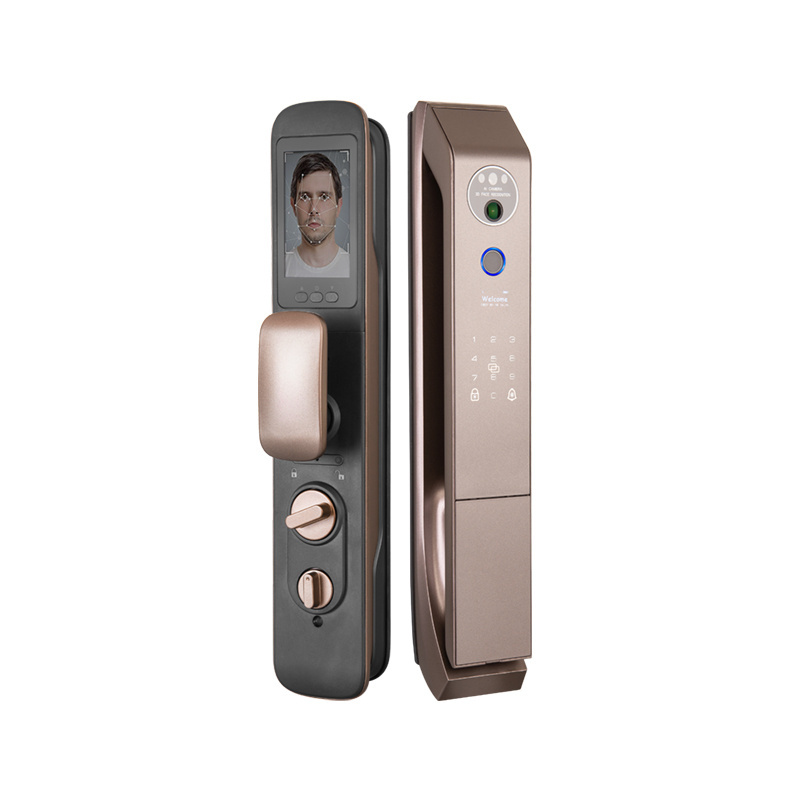 New Style Programmable Outdoor Handle Fingerprint Gate Door Lock Glass Deadbolt Smart card face door lock with camera