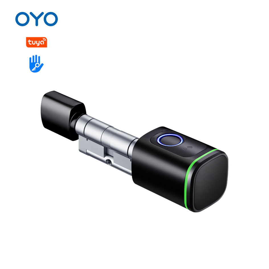 OYO Tuya WiFi App Qr Code Electronic Biometric Face Door Lock Fingerprint Smart Cabinet Cylinder Door Digital Lock For Home