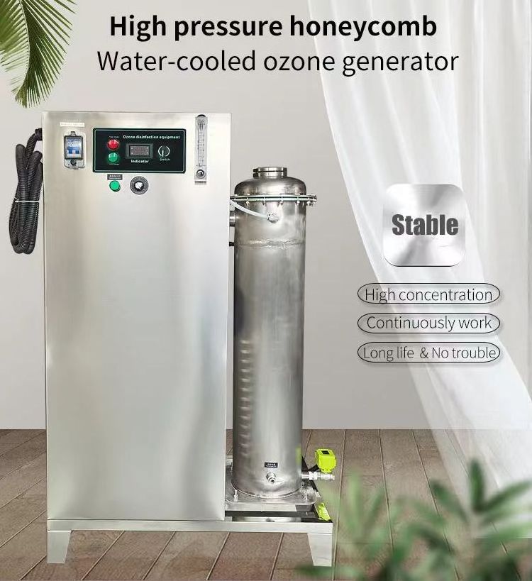 Factory Customized 100g/h Industrial Ozone Machine for Large Fish Pond Aquaculture Marine Sewage Water Treatment Equipment