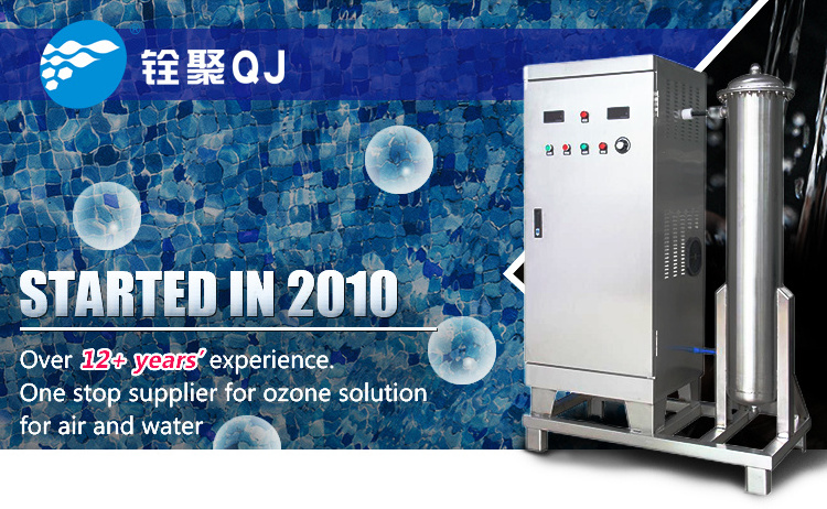 Corona discharge technology ozone generator ozonizer 980*460*1280mm Ozone generator for laundry