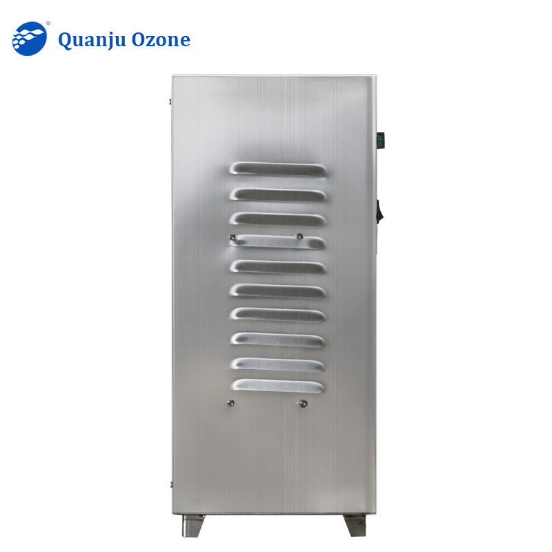 Factory price portable wholesale ozone generator 10g O3 Ozono Odor Eliminator Air Ozone Generator