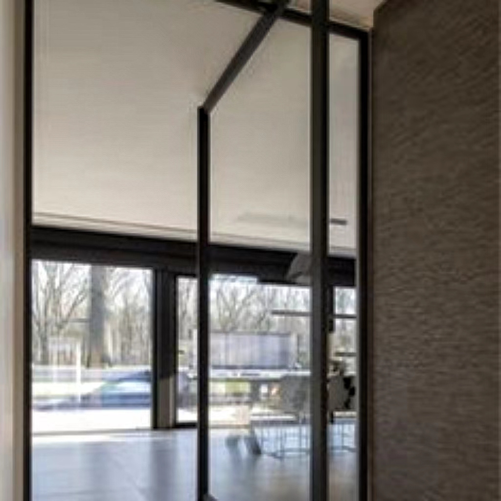 Pan Steel Modern French Steel Frame Glass Doors and Windows Metal Swing Doors Pivot Doors for Sale