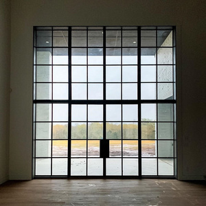 European style front steel swing door Steel Glass Doors steel double glass casement french doors exterior