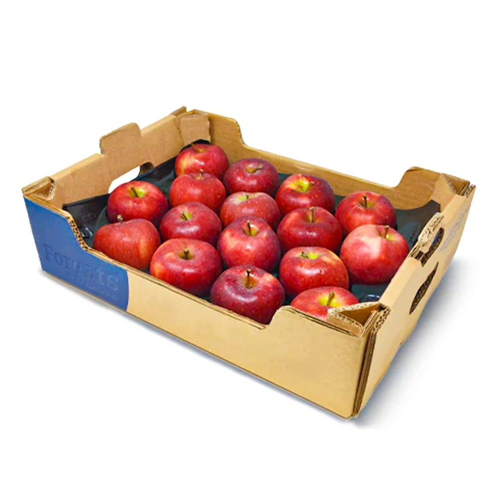 Custom wholesale banana mango grape fruit shipping box corrugated paper packaging box